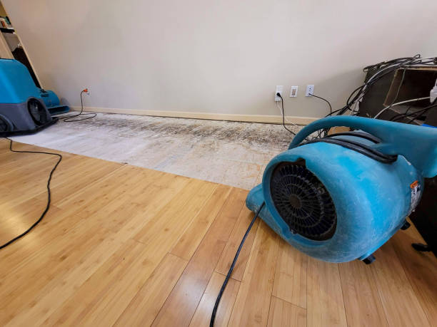 Professional Structural Drying technician working in Cache Junction, UT